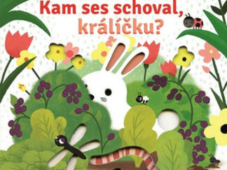 Kam ses schoval