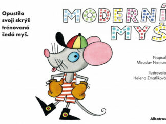 Moderní myš